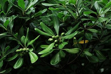 《海绵宝宝：宇宙摇摆》IGN13分钟实机游玩演示